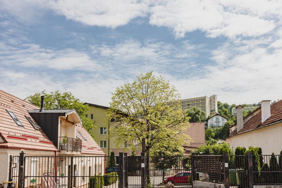 Spring, Day, Neighbourhood, Natural landscape, Street view, Location