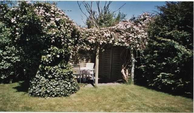Garden, Garden view