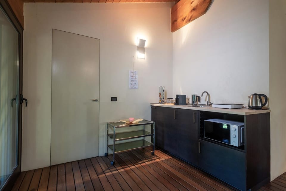 Kitchen or kitchenette, minibar