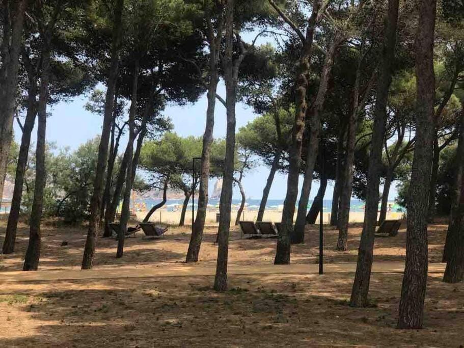 Apartament a L’Estartit x 4 Apartment in Baix Empordà