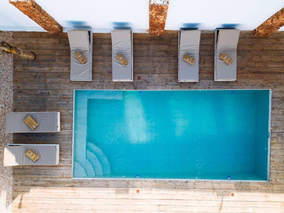 Day, Pool view, Swimming pool