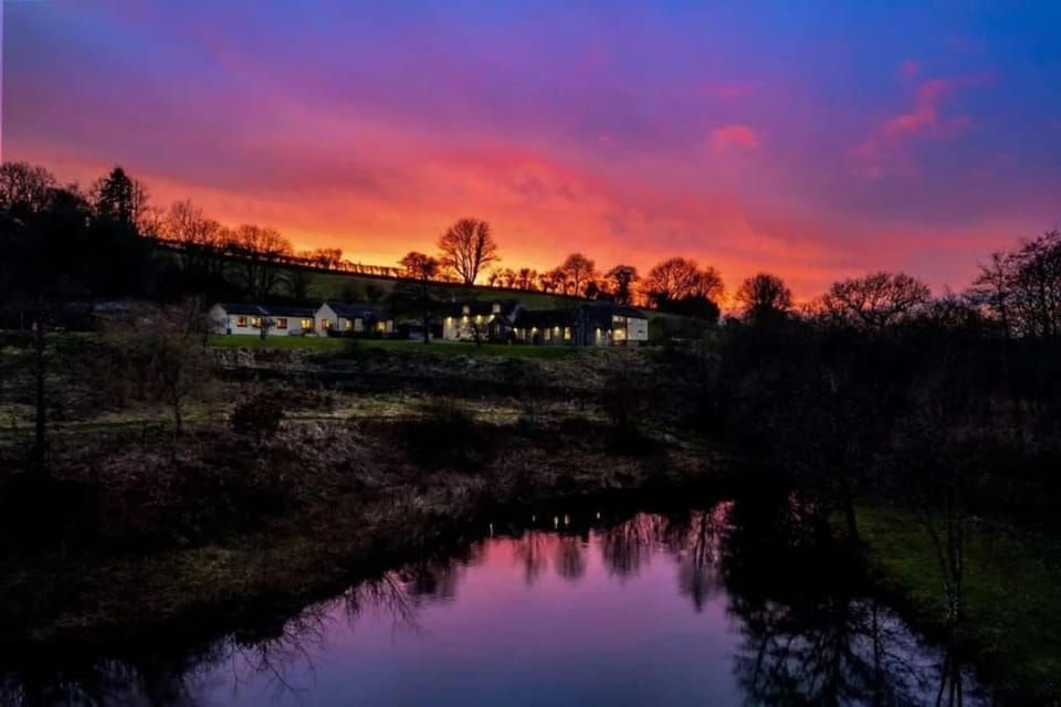 Cornflower House in Saundersfoot