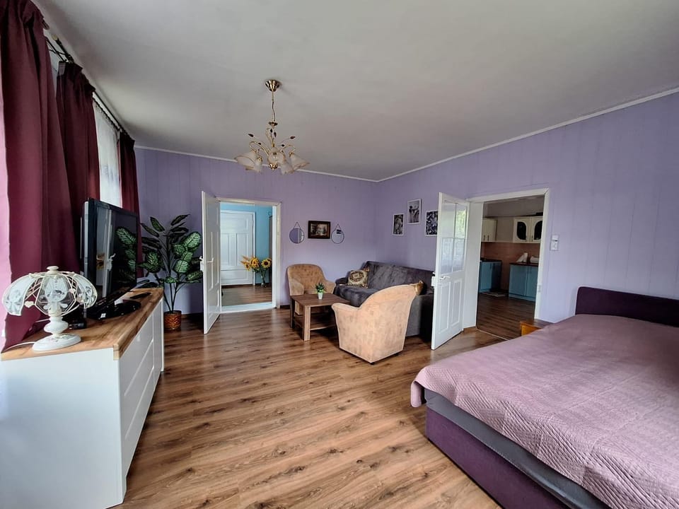 Bed, TV and multimedia, Living room, Photo of the whole room, Seating area, Bedroom, hair dresser