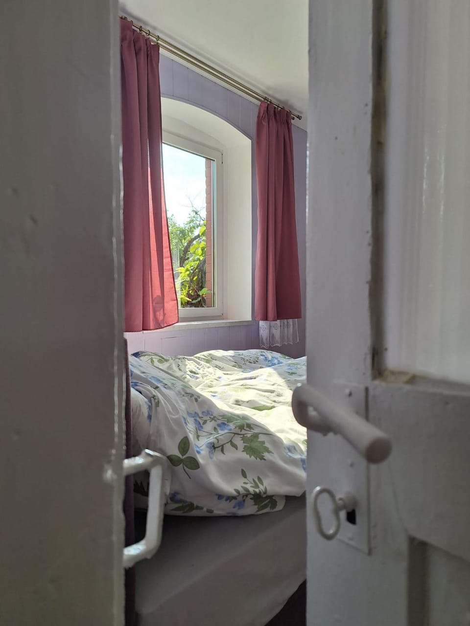 Bed, Photo of the whole room, Bedroom, cot