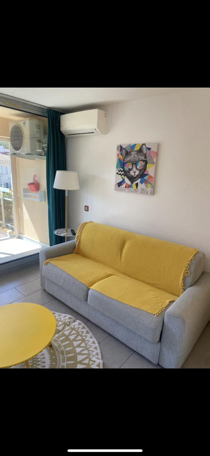 Studio/f1bis à 50 m de la plage Apartment in Argeles-sur-Mer