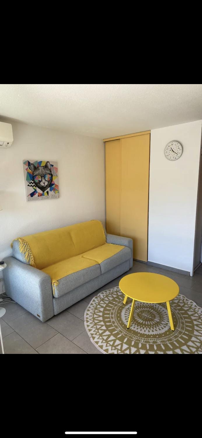 Studio/f1bis à 50 m de la plage Apartment in Argeles-sur-Mer