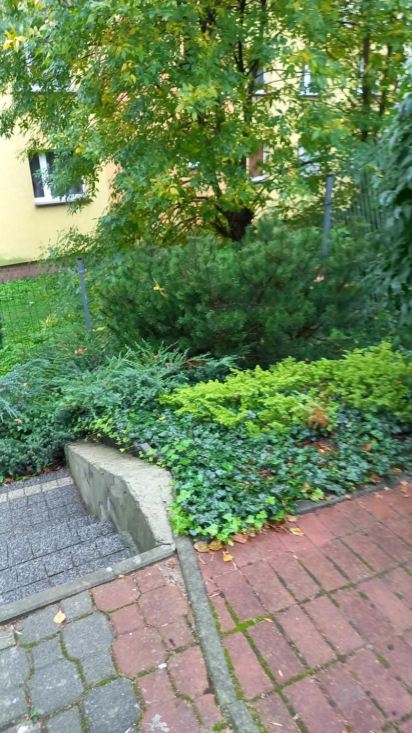 Kora Apartment in Lesser Poland Voivodeship
