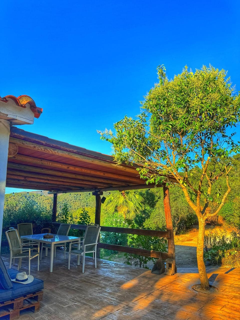 Patio, Spring, Day, Natural landscape, Garden, Garden view