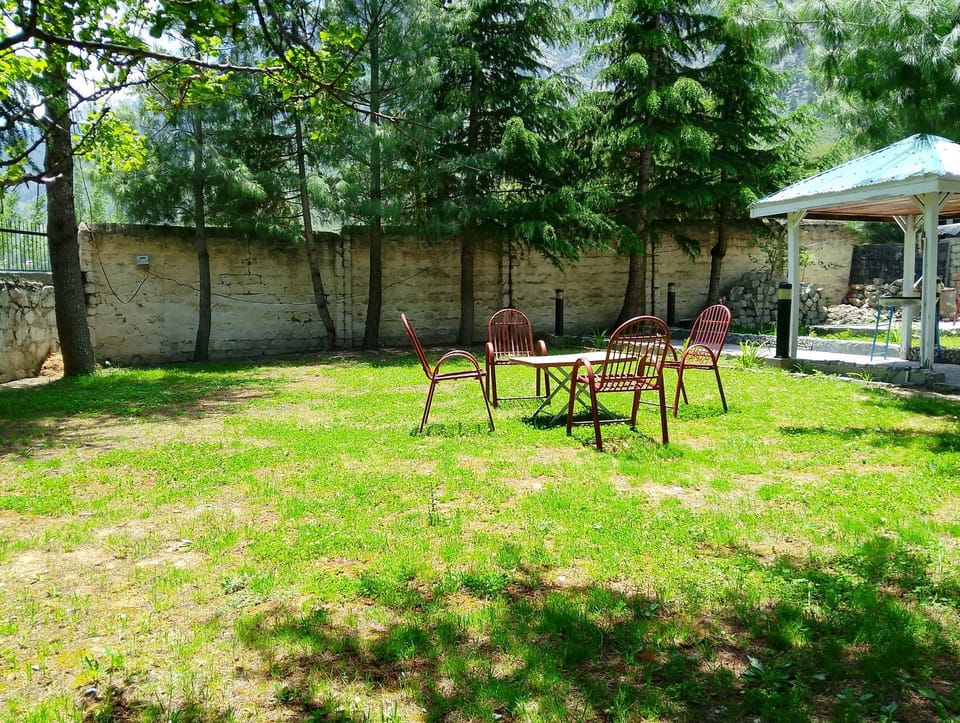 Spring, Day, Natural landscape, Garden, Seating area