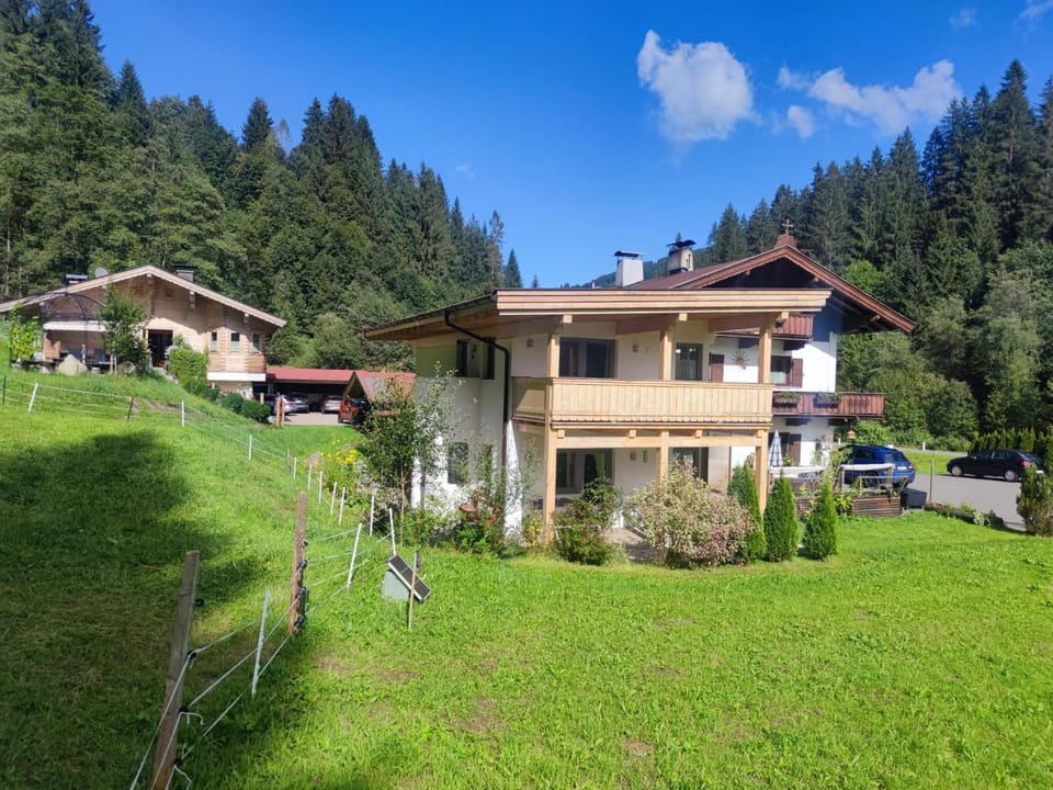 Property building, Summer