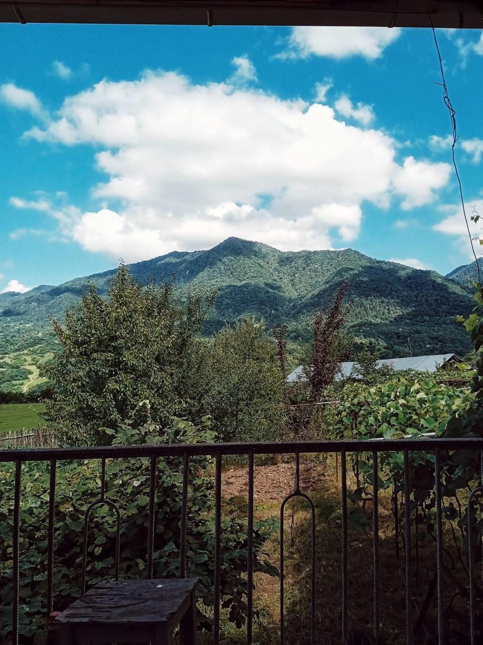 Natural landscape