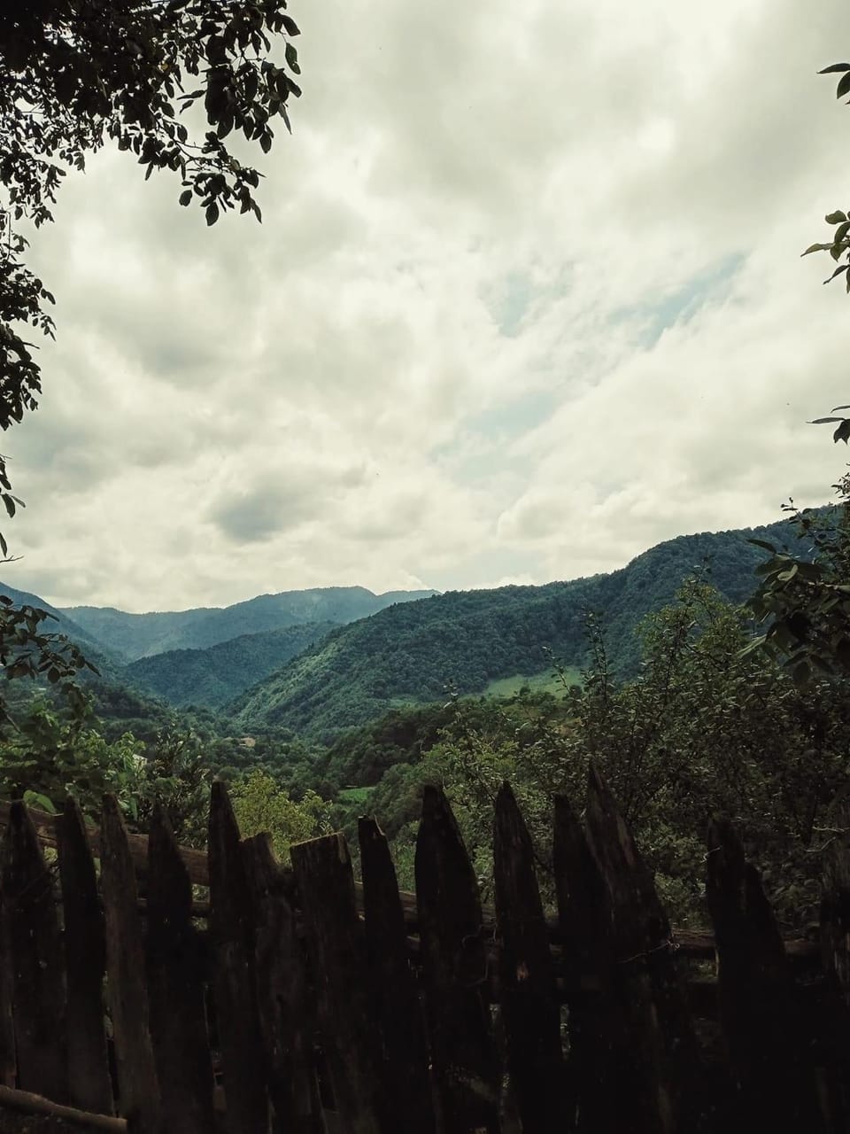 Natural landscape