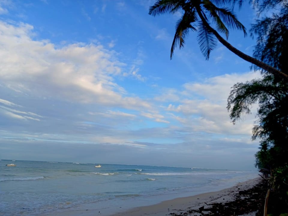Nearby landmark, Beach, Sea view