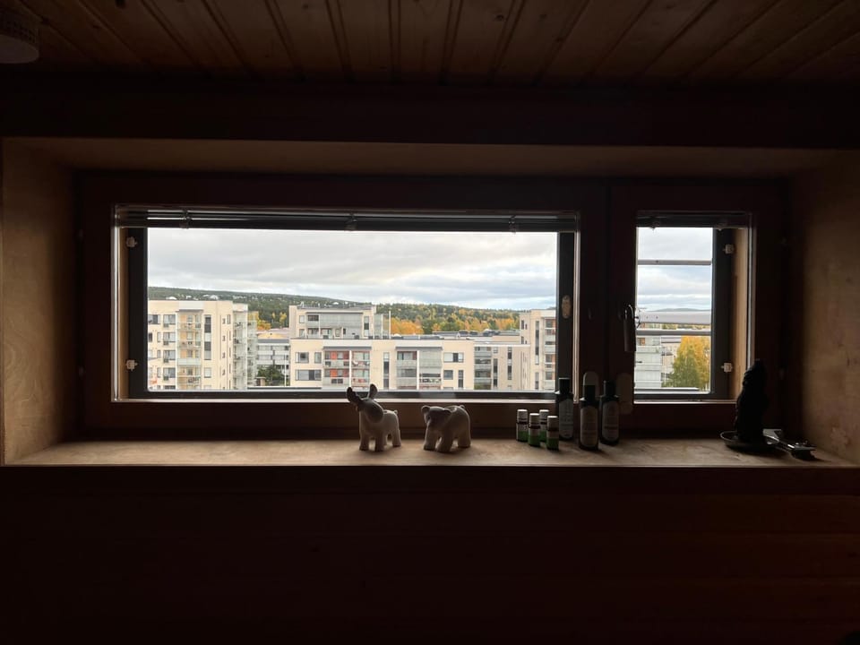 Sauna, Sauna, View (from property/room), City view