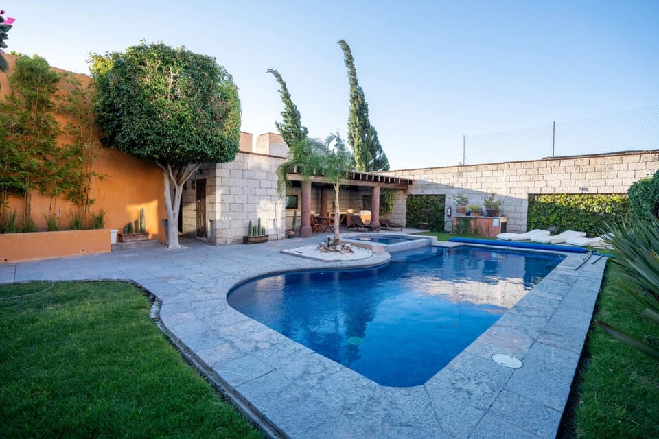 Day, Garden, Swimming pool