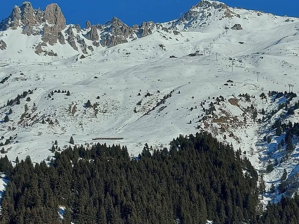 Superbe appartement 143m², 4 chambres, proche des pistes, prestations haut de gamme - FR-1-613-101 Apartment in Les Allues
