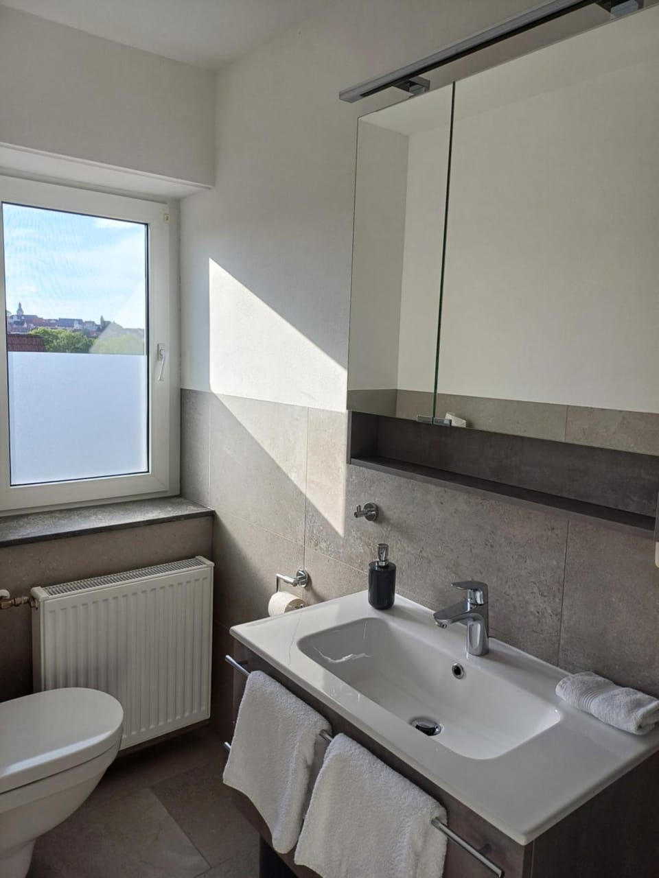 Toilet, Bathroom, hair dryier, towels