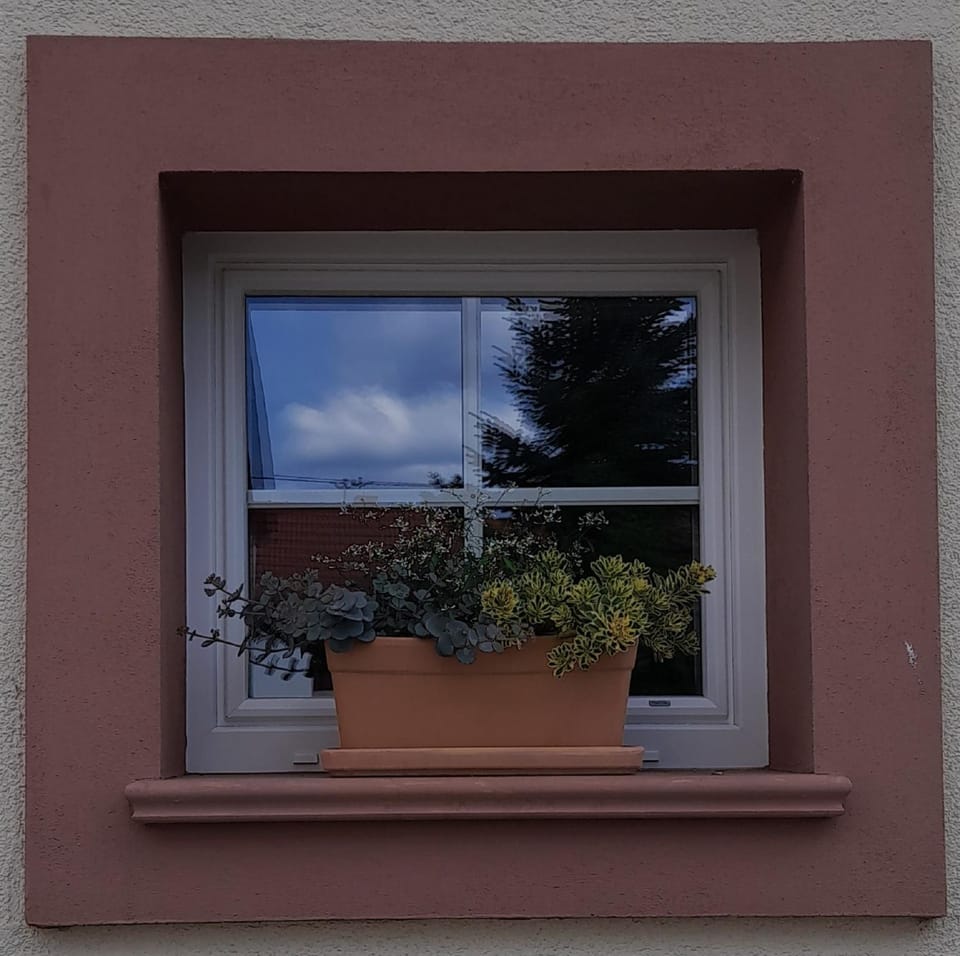 Day