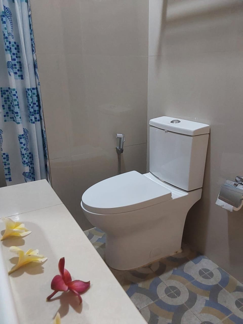 Toilet, Bathroom