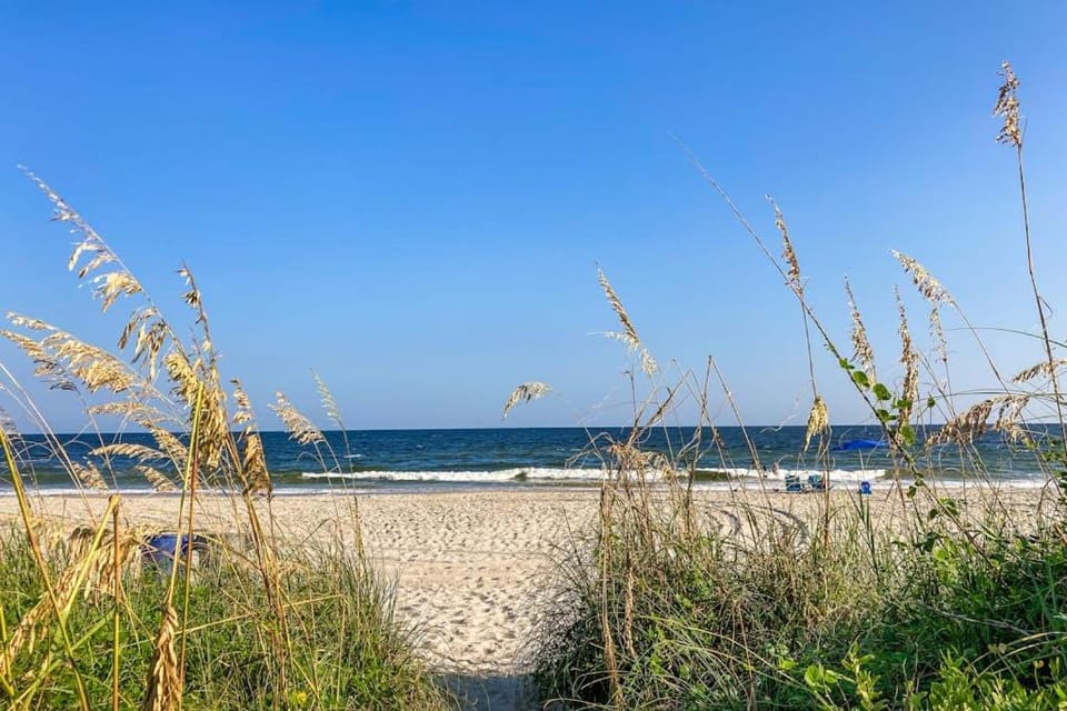 Beach Club III 8-D Apartment in North Myrtle Beach