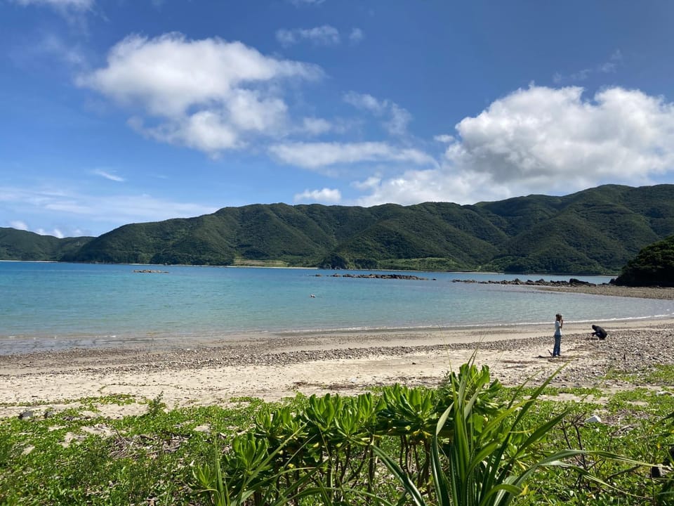 Beach