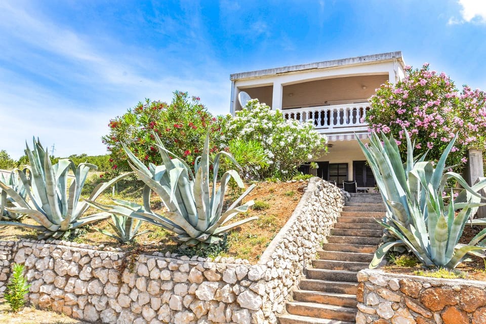 Property building, Spring, Day, Garden, Garden view