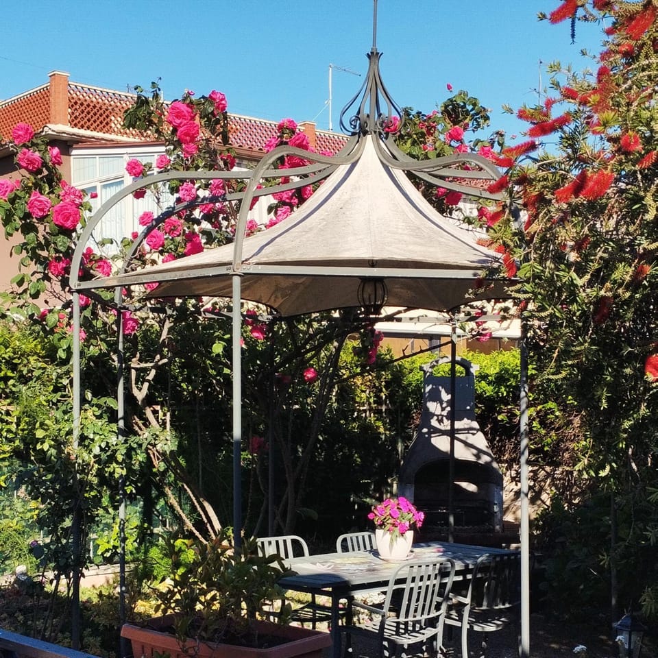 Spring, Garden