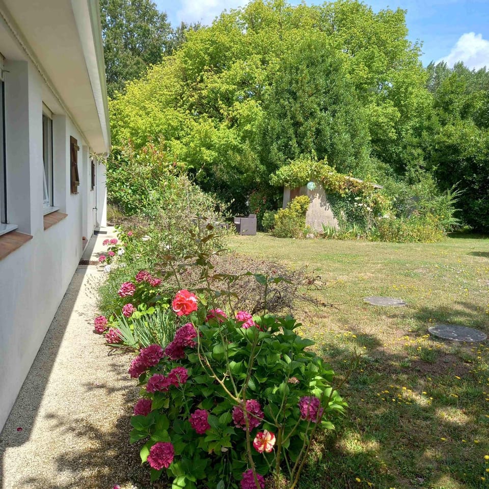 Property building, Garden, Garden view