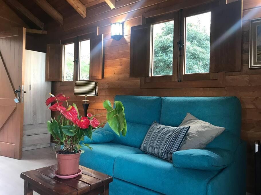 Cozy Mountain Chalet Apartment in Orotava Valley