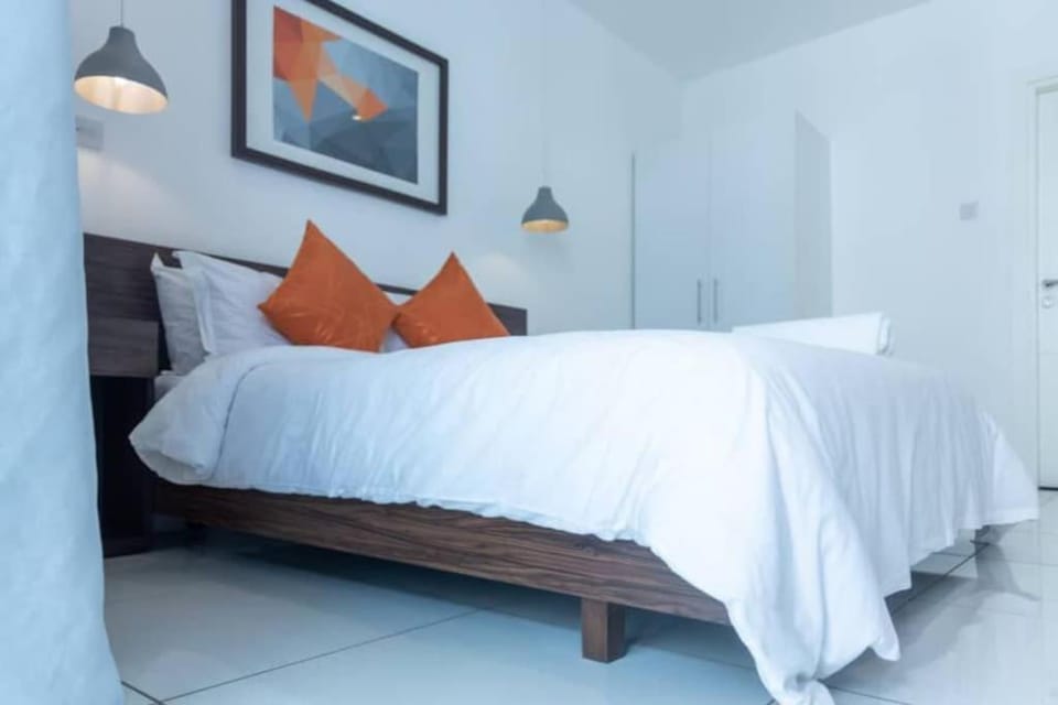 Embassy Gardens 1 Bedroom Apt Apartment in Accra