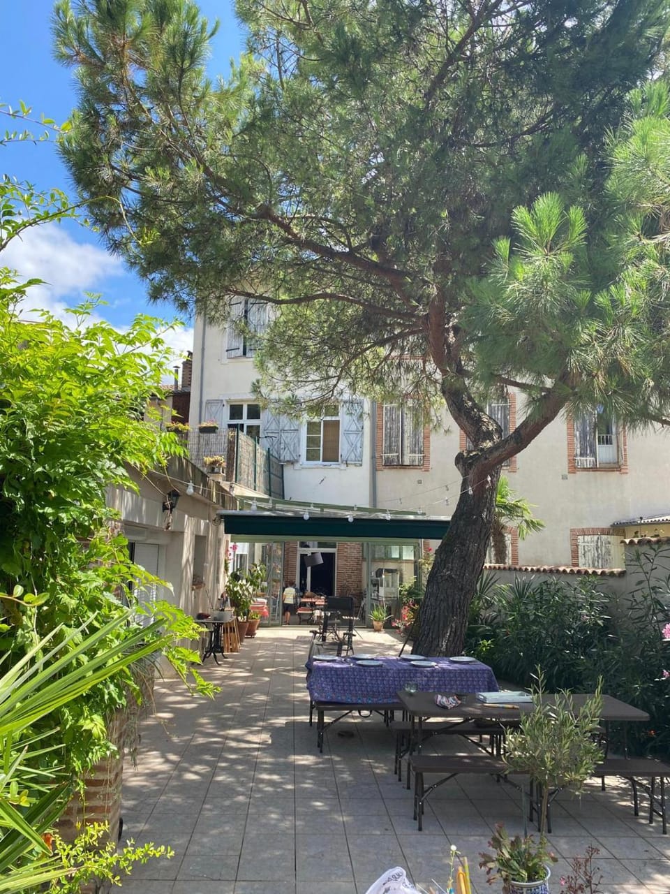 Garden view