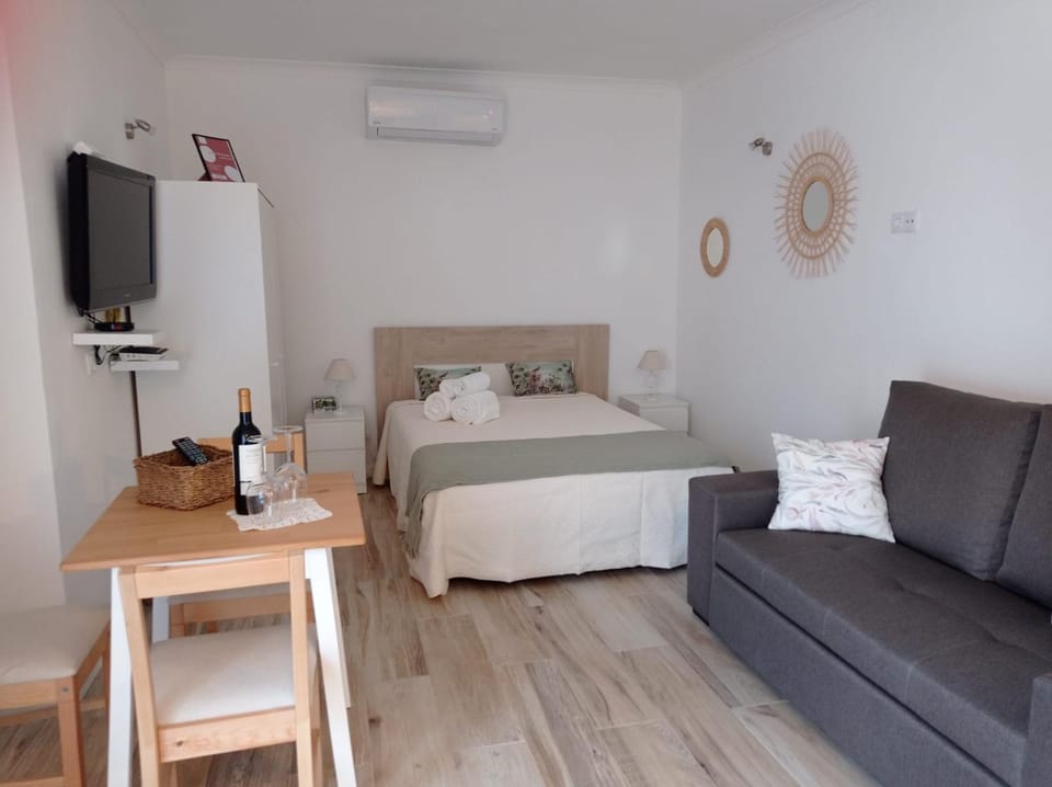 Communal lounge/ TV room, Bed, TV and multimedia, Seating area, air conditioner