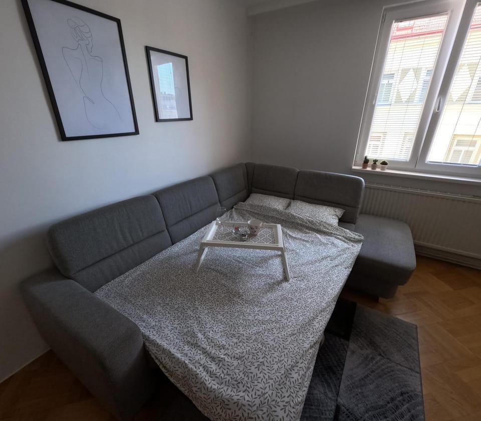 Bed, Living room, Photo of the whole room