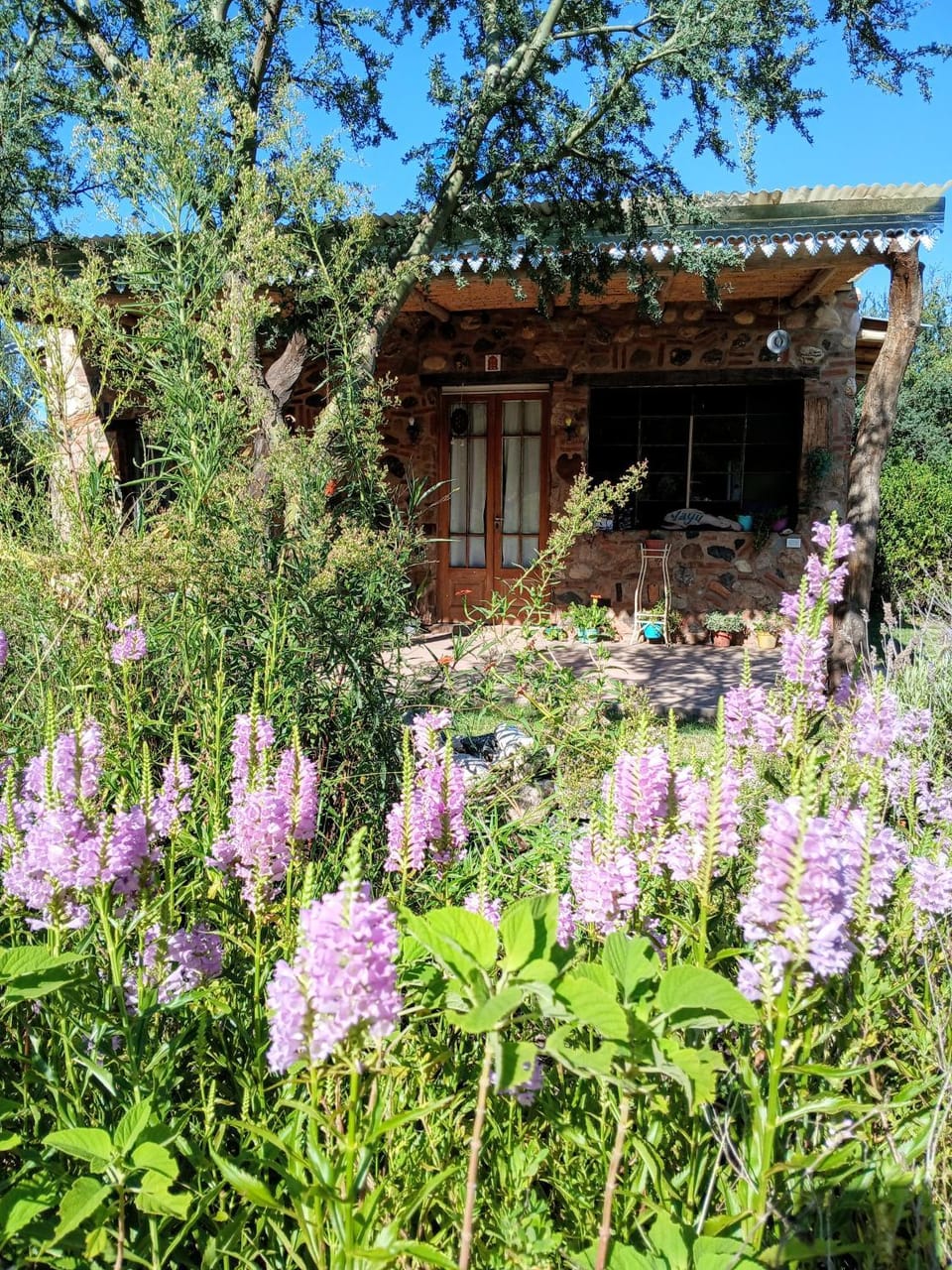 Vayu- en La Casa de Nanda House in San Luis Province, Argentina