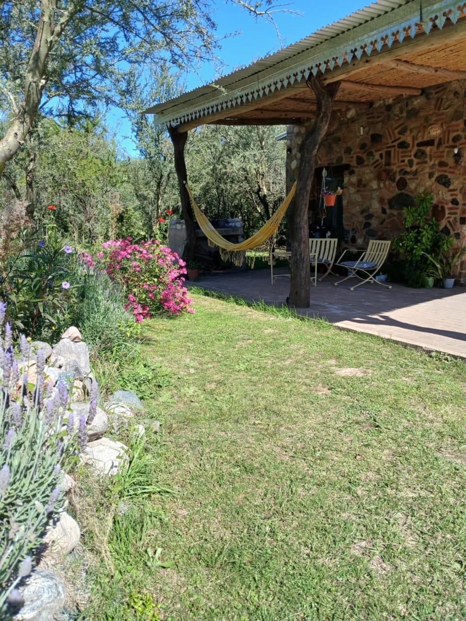Garden view