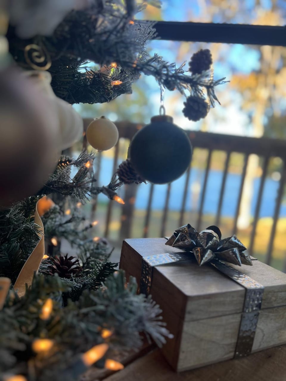 Living room, Lake view, Lake view, flat iron