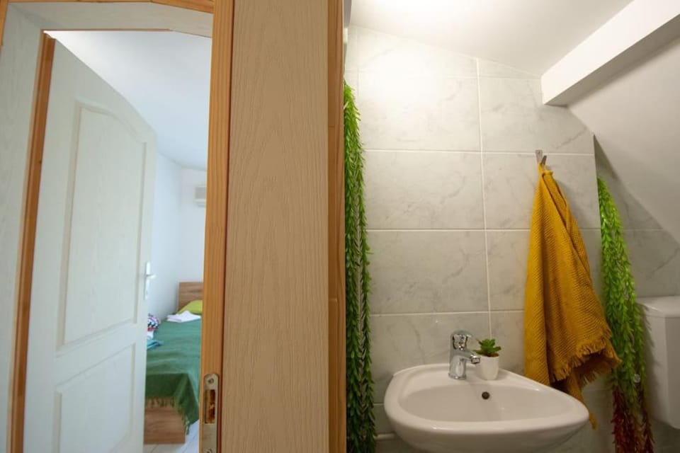 Central duplex apartment Apartment in Novi Sad