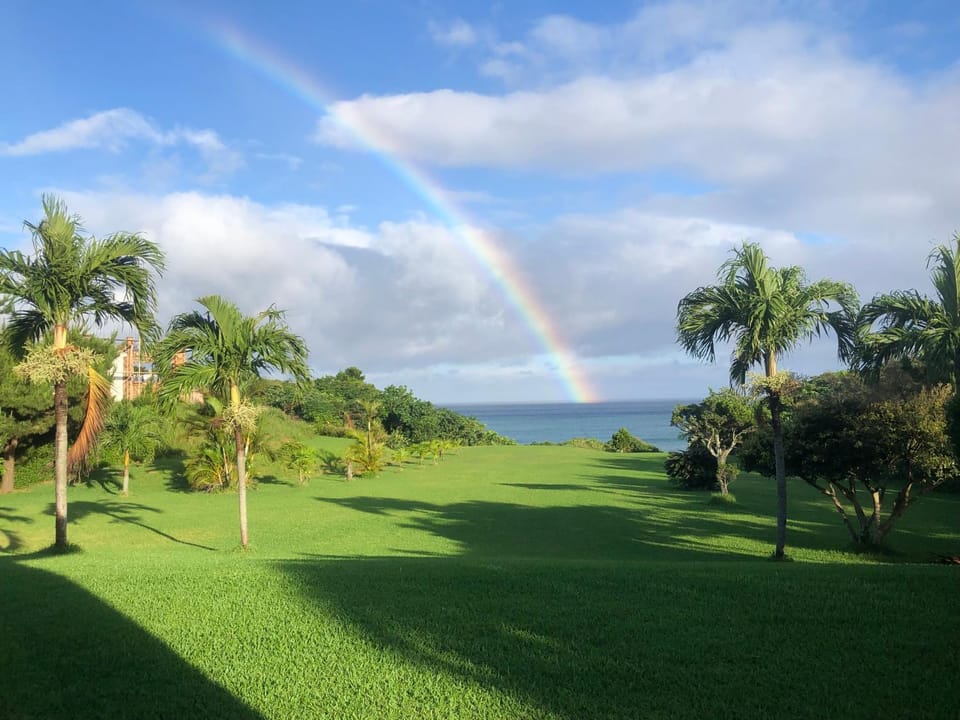 Garden view
