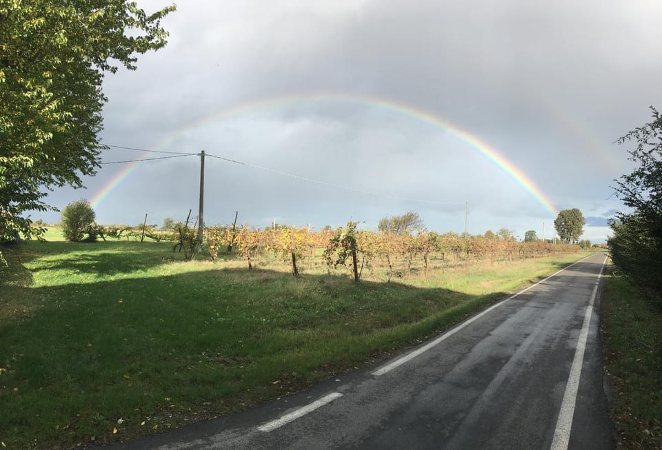 Day, Neighbourhood, Natural landscape