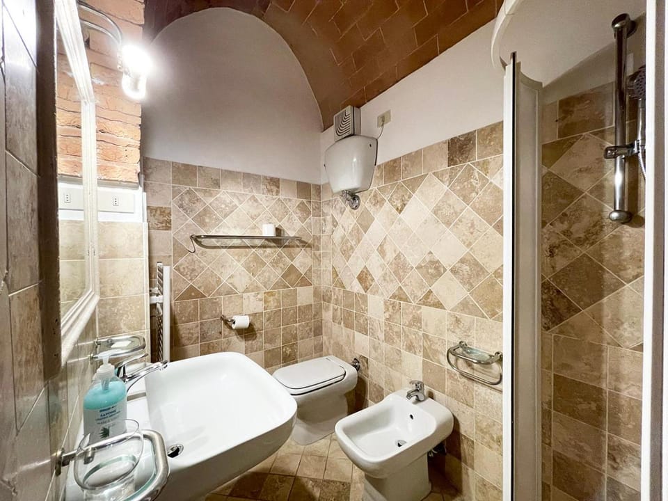 Shower, Toilet, Bathroom, bidet