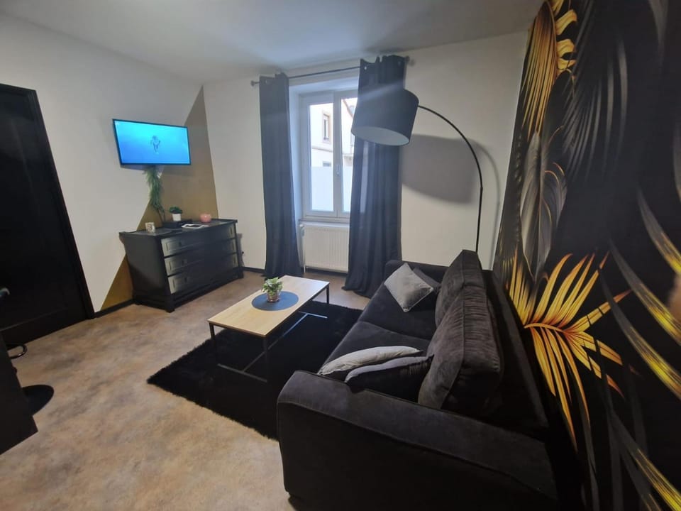 Appartement spacieux MULHOUSE Apartment in Mulhouse