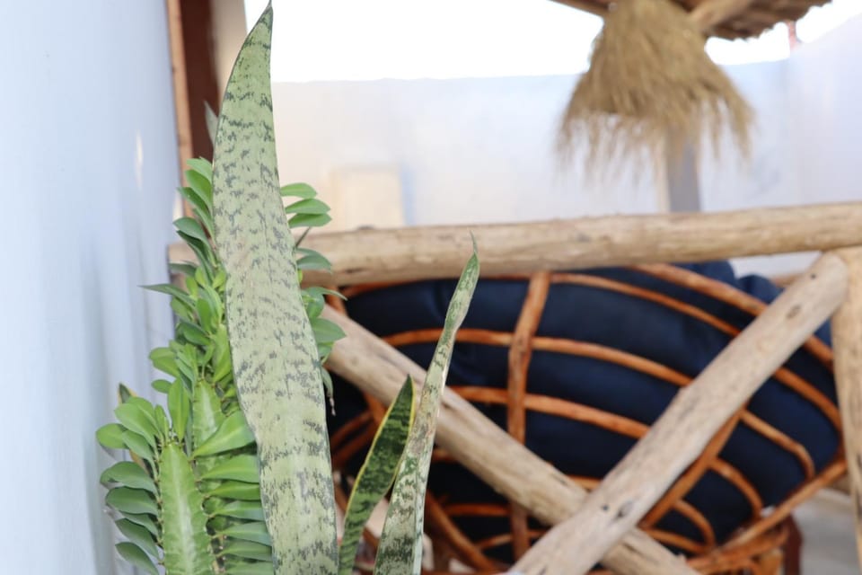 Balcony/Terrace, Balcony/Terrace