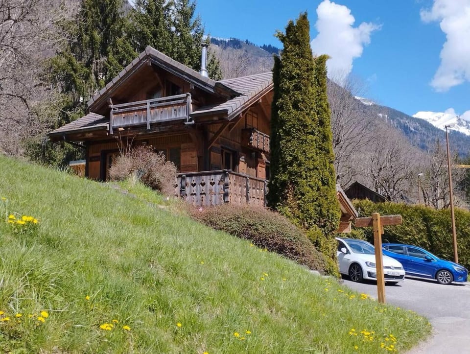 Property building, Neighbourhood, Garden