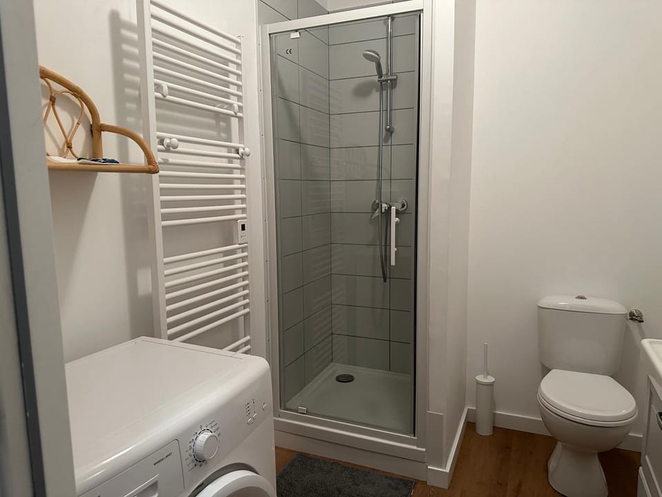 Shower, Toilet, Bathroom, washing machine