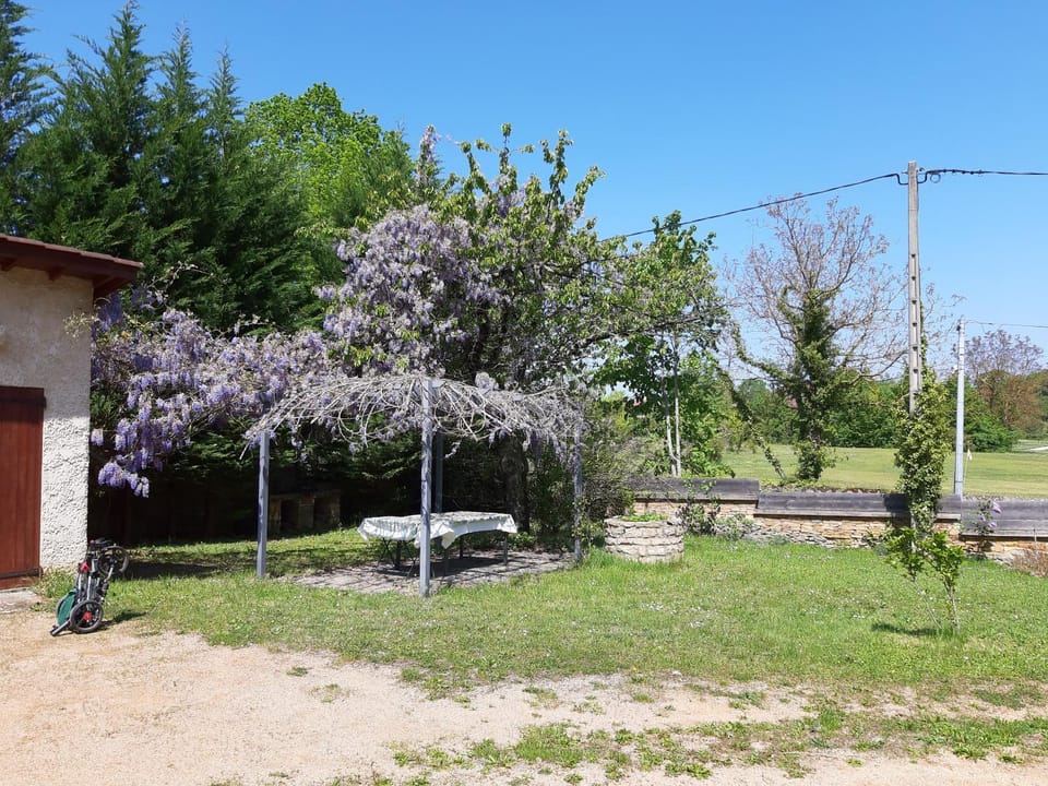 Natural landscape, Garden, Garden view
