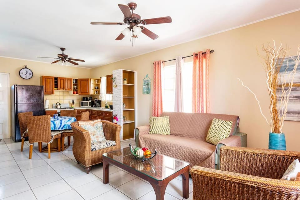 3BD Villa near Best Beaches 30ft private pool Villa in Noord