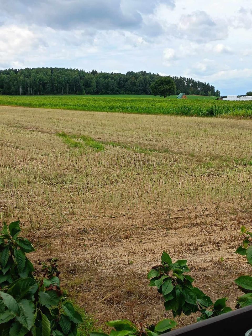 DOMEK LETNISKOWY PRZY GÓRACH MAJOWYCH House in Masovian Voivodeship
