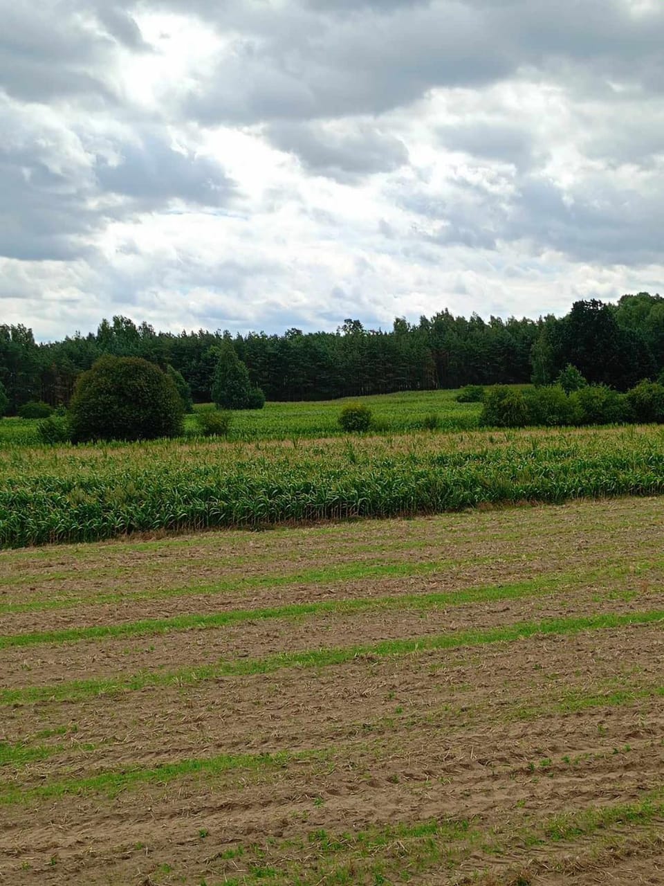 DOMEK LETNISKOWY PRZY GÓRACH MAJOWYCH House in Masovian Voivodeship