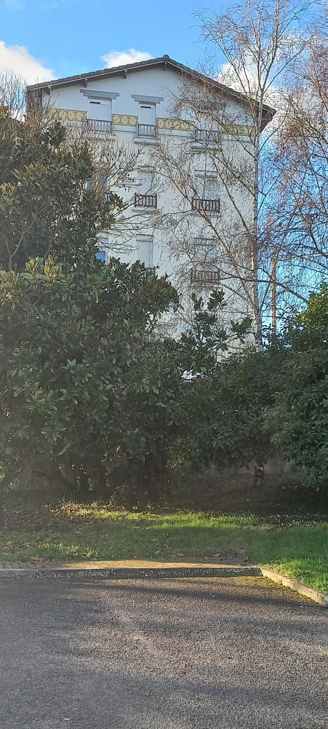 Property building, Garden view