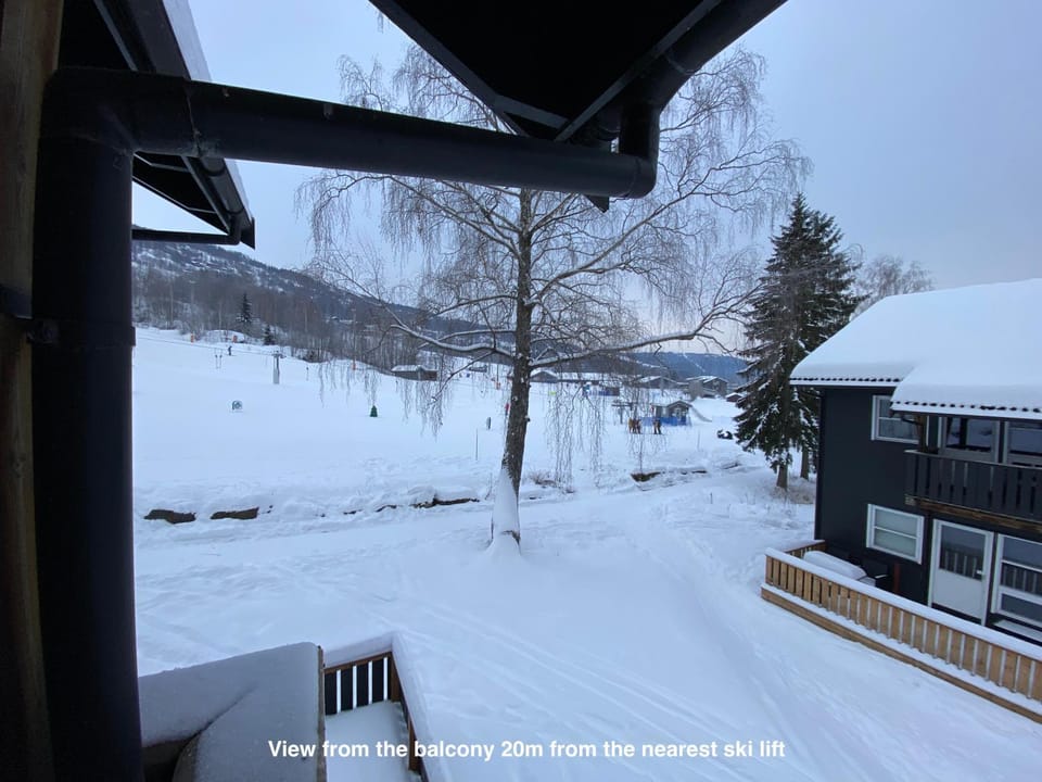 Property building, Ski School, Ski School, Skiing, Skiing, View (from property/room), Balcony/Terrace, Balcony/Terrace, Mountain view, Mountain view